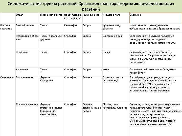 Систематические группы растений. Сравнительная характеристика отделов высших растений Отдел Значение Мохообразные Травы Споры Кукушкин
