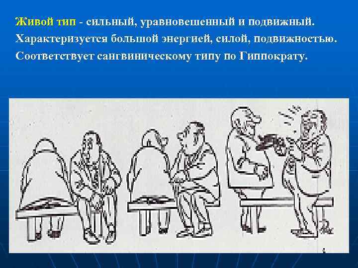 Живой тип - сильный, уравновешенный и подвижный. Характеризуется большой энергией, силой, подвижностью. Соответствует сангвиническому