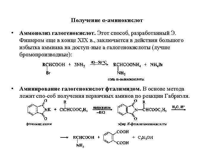 Место синтеза аминокислот