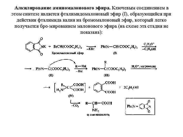 Алкилирование аминомалонового эфира. Ключевым соединением в этом синтезе является фталимидомалоновый эфир (I), образующийся при