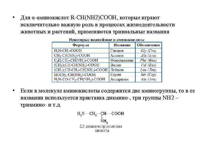  • Для α аминокислот R CH(NH 2)COOH, которые играют исключительно важную роль в