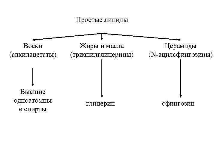 К простым липидам относятся