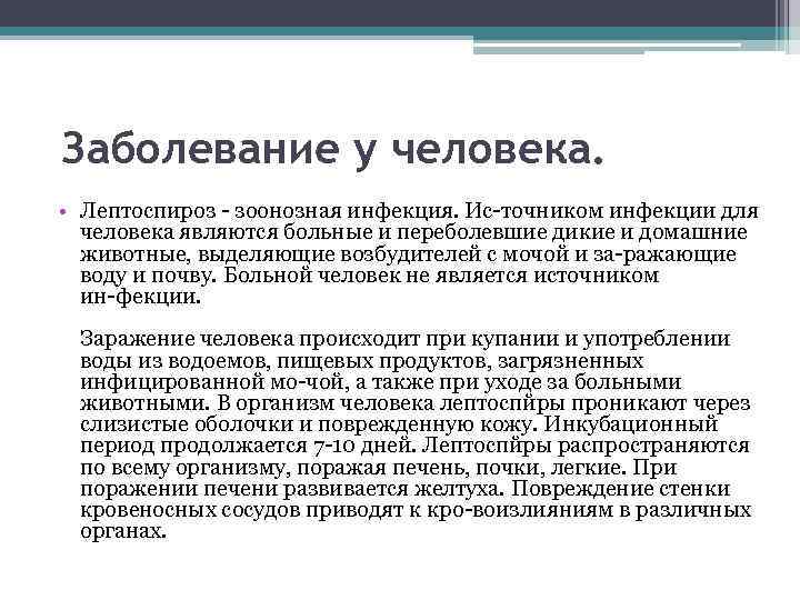  Заболевание у человека. • Лептоспироз зоонозная инфекция. Ис точником инфекции для человека являются