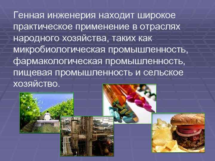 Генная инженерия находит широкое практическое применение в отраслях народного хозяйства, таких как микробиологическая промышленность,