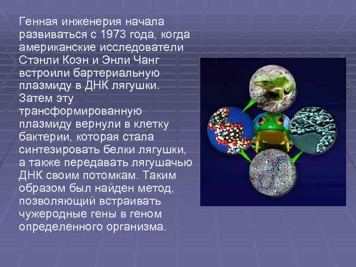 Генная инженерия начала развиваться с 1973 года, когда американские исследователи Стэнли Коэн и Энли
