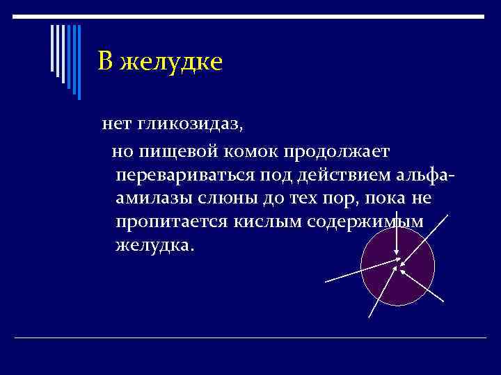 В желудке нет гликозидаз, но пищевой комок продолжает перевариваться под действием альфаамилазы слюны до