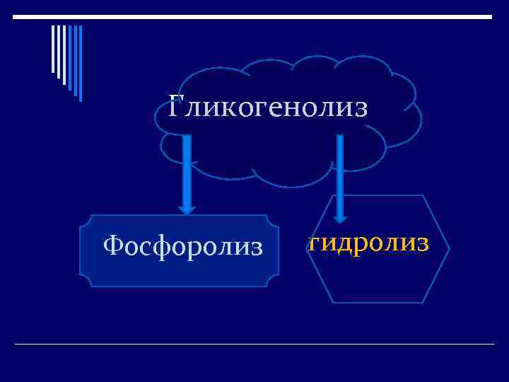 Гликогенолиз Фосфоролиз гидролиз 