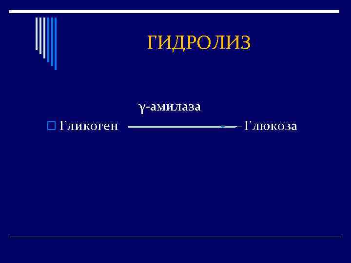 ГИДРОЛИЗ γ-амилаза o Гликоген Глюкоза 