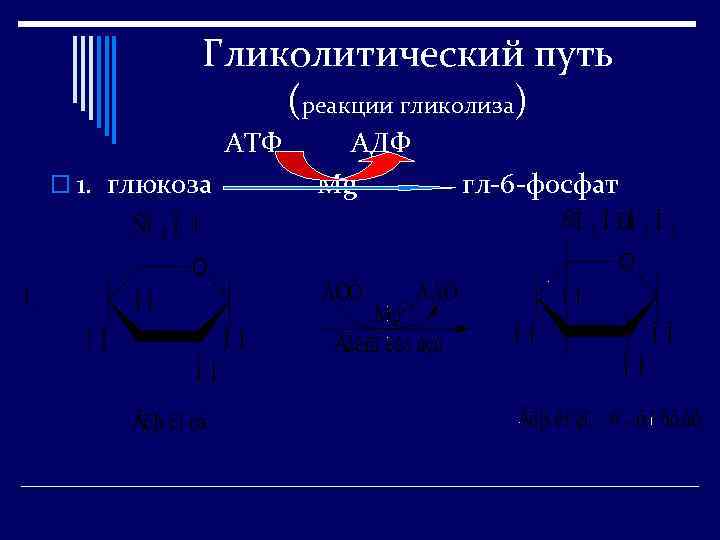 Гликолитический путь (реакции гликолиза) АТФ o 1. глюкоза АДФ Мg гл-6 -фосфат 