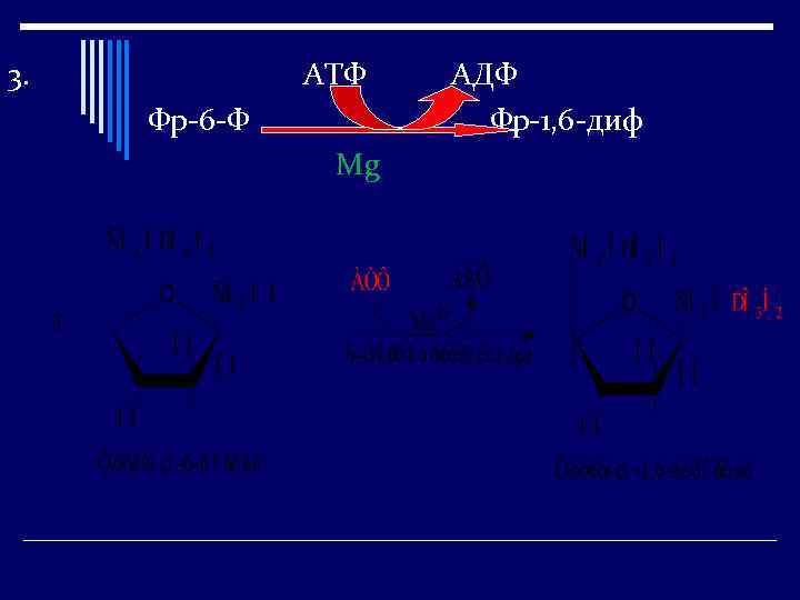 3. АТФ Фр-6 -Ф Mg АДФ Фр-1, 6 -диф 