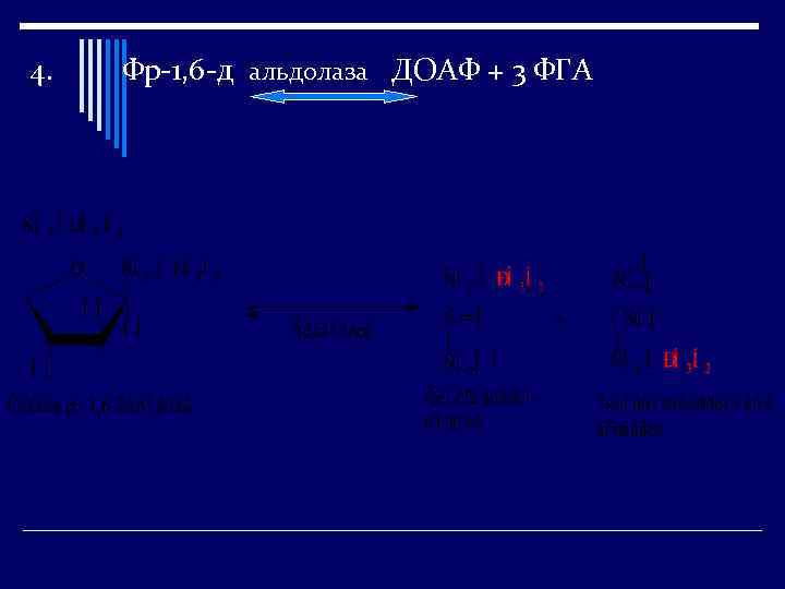 4. Фр-1, 6 -д альдолаза ДОАФ + 3 ФГА 