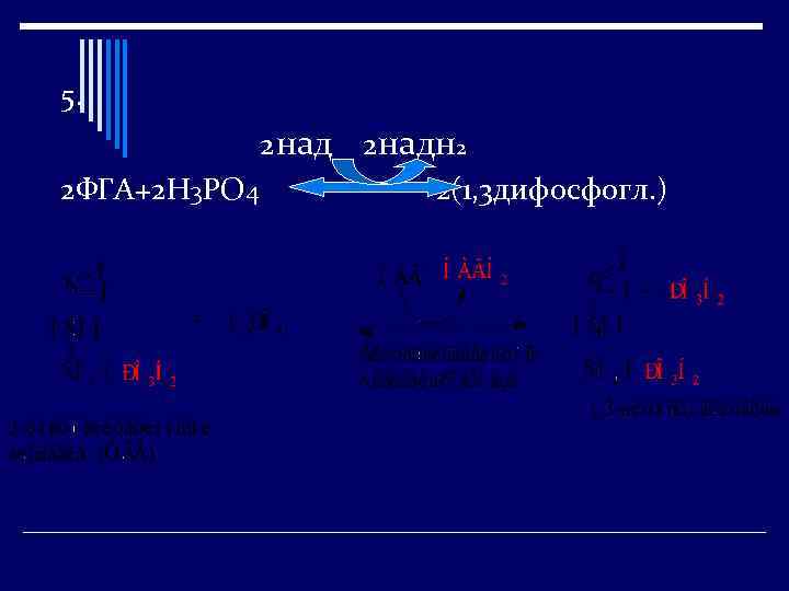 5. 2 над 2 ФГА+2 Н 3 РО 4 2 надн 2 2(1, 3