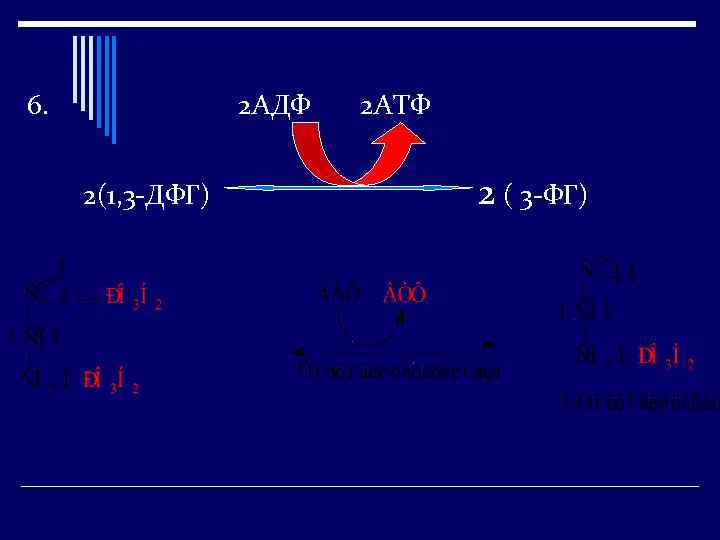 6. 2 АДФ 2(1, 3 -ДФГ) 2 АТФ 2 ( 3 -ФГ) 