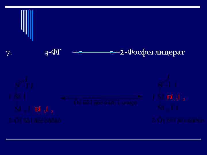 7. 3 -ФГ 2 -Фосфоглицерат 