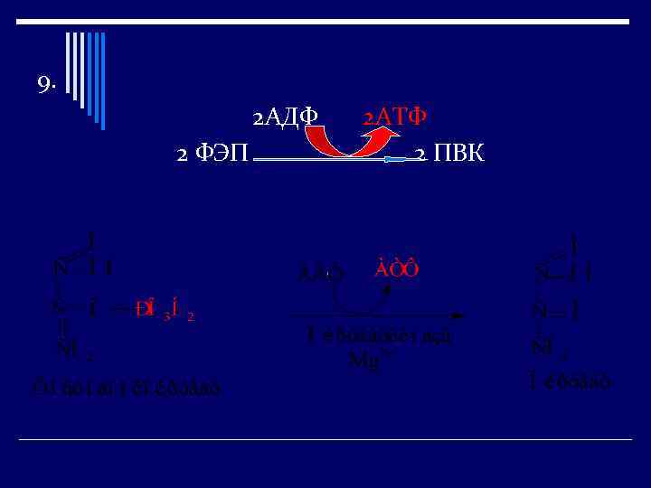 9. 2 АДФ 2 ФЭП 2 АТФ 2 ПВК 