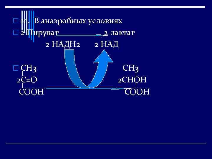 o 10. В анаэробных условиях o 2 Пируват 2 НАДН 2 o СН 3