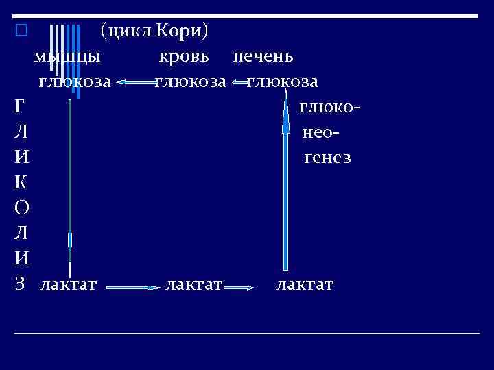 (цикл Кори) мышцы кровь печень глюкоза Г глюко. Л нео. И генез К О