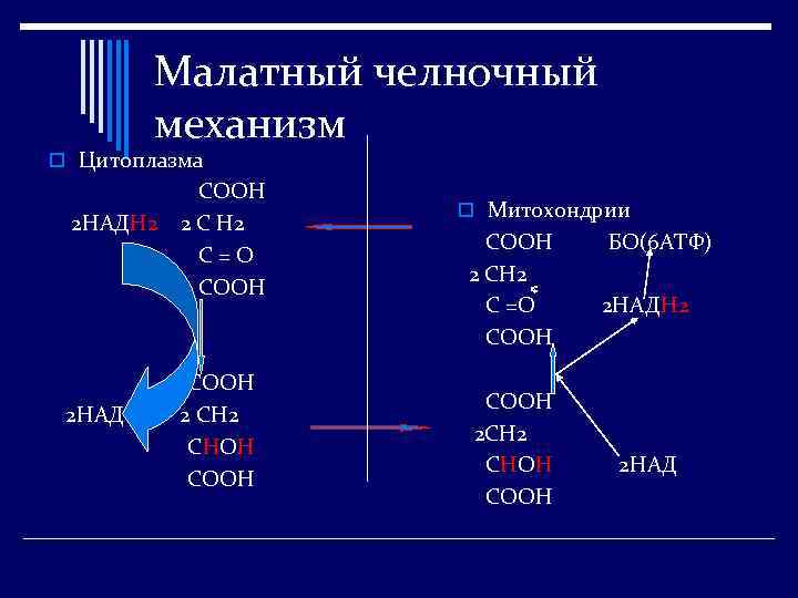 Челночный механизм. Малат-аспартатный челночный механизм схема. Малат аспартат челночный механизм. Глицерофосфатный челночный механизм биохимия. Глицерофосфатный челночный механизм роль.