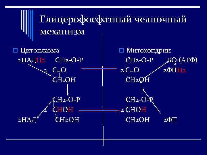 Схема глицерофосфатного челночного механизма