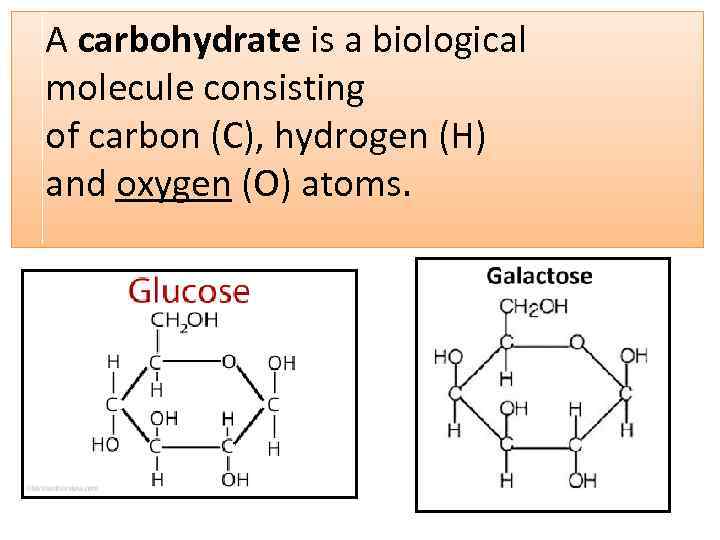 A carbohydrate is a biological molecule consisting of carbon (C), hydrogen (H) and oxygen