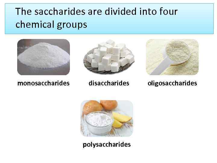 The saccharides are divided into four chemical groups monosaccharides disaccharides polysaccharides oligosaccharides 