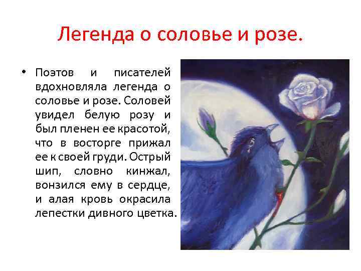 Легенда о соловье и розе. • Поэтов и писателей вдохновляла легенда о соловье и