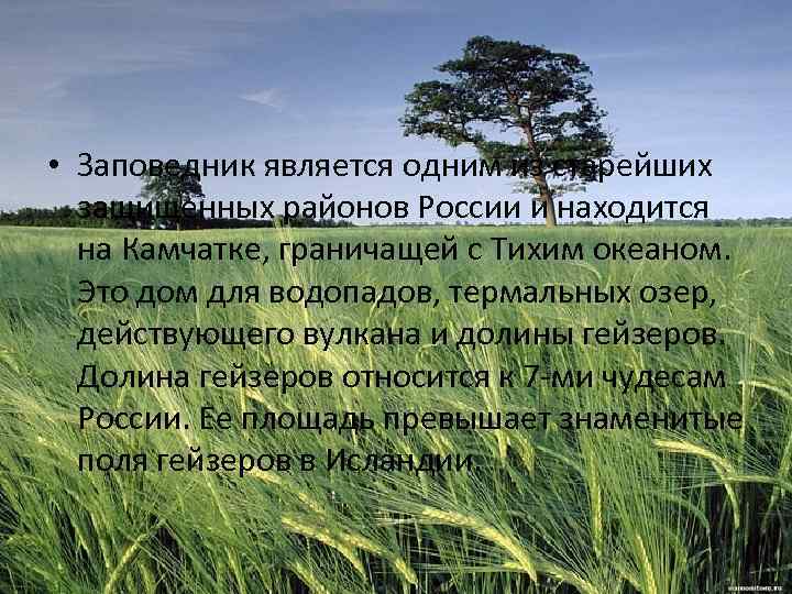  • Заповедник является одним из старейших защищенных районов России и находится на Камчатке,