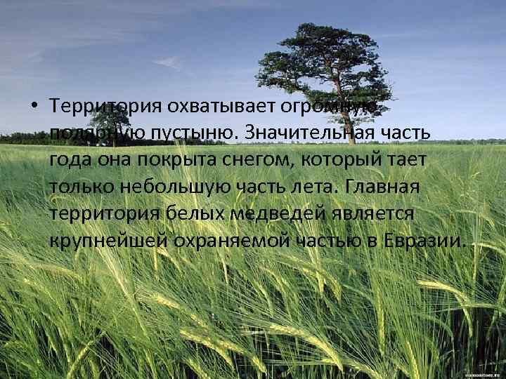  • Территория охватывает огромную полярную пустыню. Значительная часть года она покрыта снегом, который