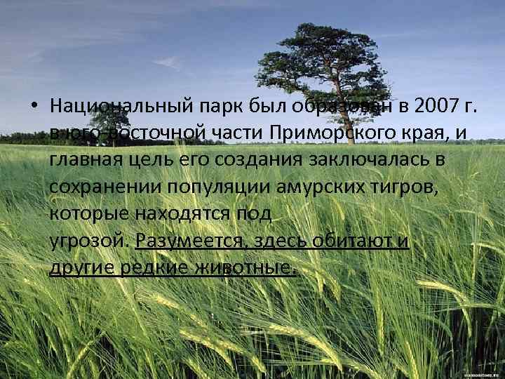  • Национальный парк был образован в 2007 г. в юго-восточной части Приморского края,