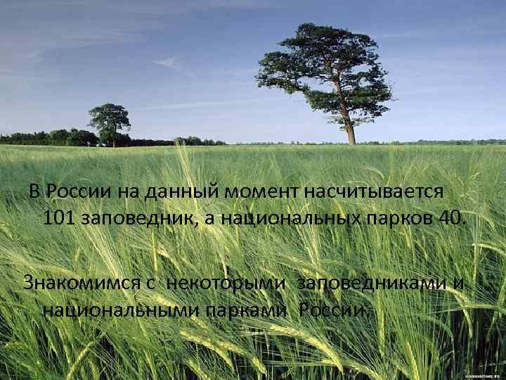  В России на данный момент насчитывается 101 заповедник, а национальных парков 40. Знакомимся