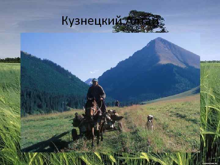 Кузнецкий Алтай 