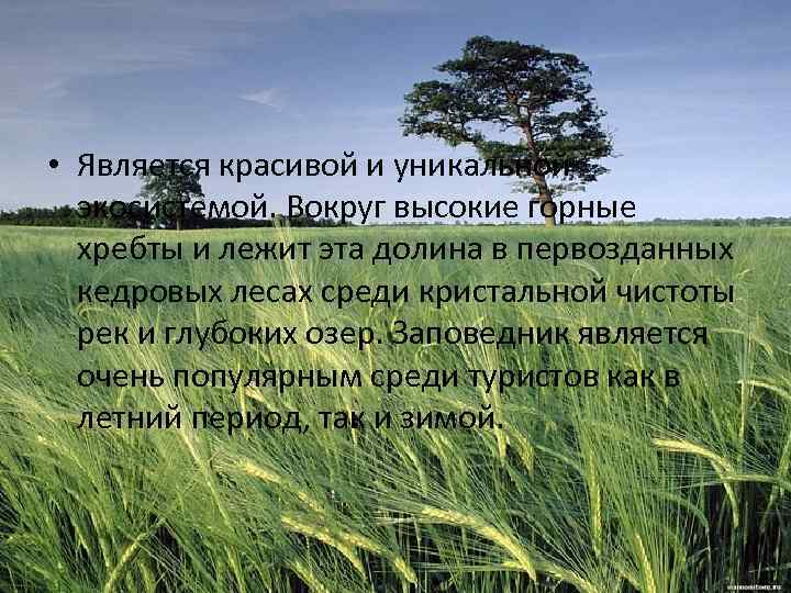  • Является красивой и уникальной экосистемой. Вокруг высокие горные хребты и лежит эта