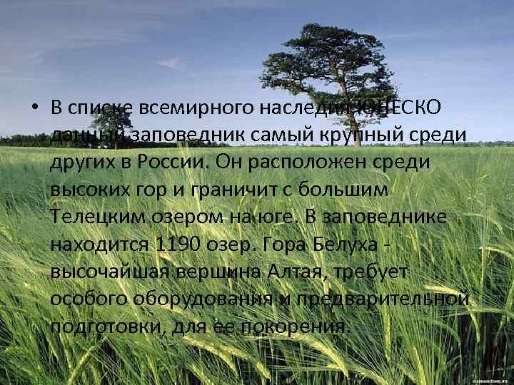  • В списке всемирного наследия ЮНЕСКО данный заповедник самый крупный среди других в