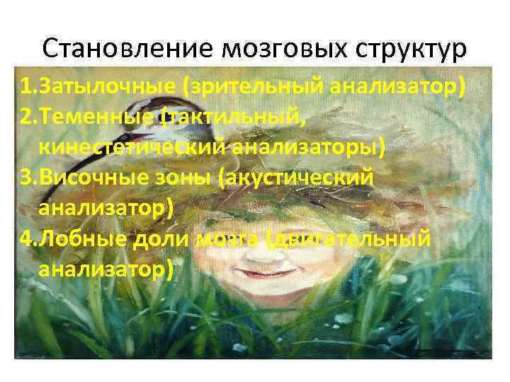 Становление мозговых структур 1. Затылочные (зрительный анализатор) 2. Теменные (тактильный, кинестетический анализаторы) 3. Височные
