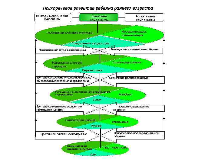 Психоречевое развитие ребенка раннего возраста Психофизиологические компоненты Языковые компоненты Когнитивные компоненты Морфологизация, грамматизация Усложнение