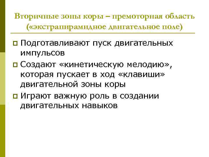 Вторичные зоны коры – премоторная область ( «экстрапирамидное двигательное поле) Подготавливают пуск двигательных импульсов