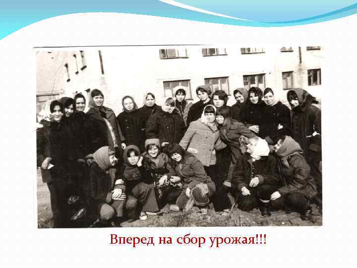 Вперед на сбор урожая!!! 