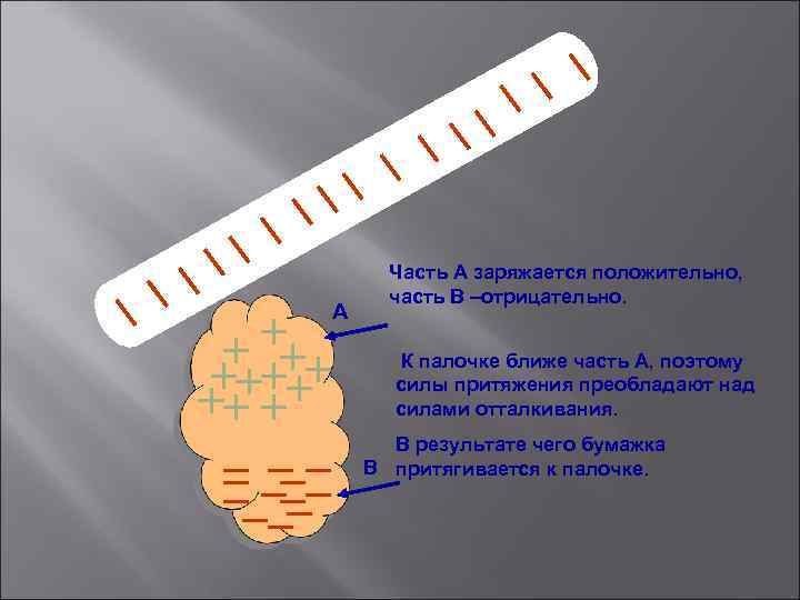 А Часть А заряжается положительно, часть В –отрицательно. К палочке ближе часть А, поэтому
