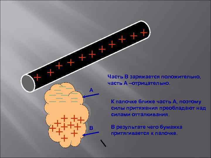 Часть В заряжается положительно, часть А –отрицательно. А К палочке ближе часть А, поэтому