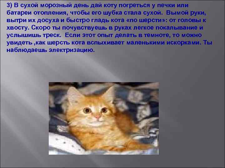 3) В сухой морозный день дай коту погреться у печки или батареи отопления, чтобы