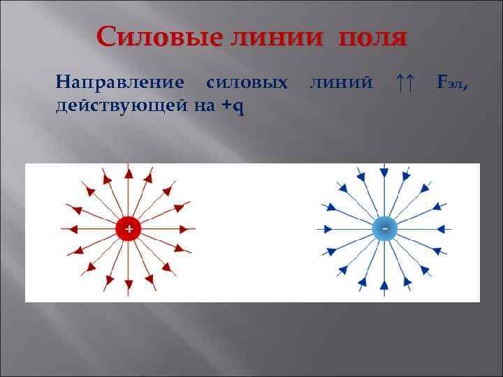 Силовые линии поля. Свойства силовых линий электрического поля. Характеристики силовых линий электрического поля. Свойства силовых линий электростатического поля. Свойства силовых линий.