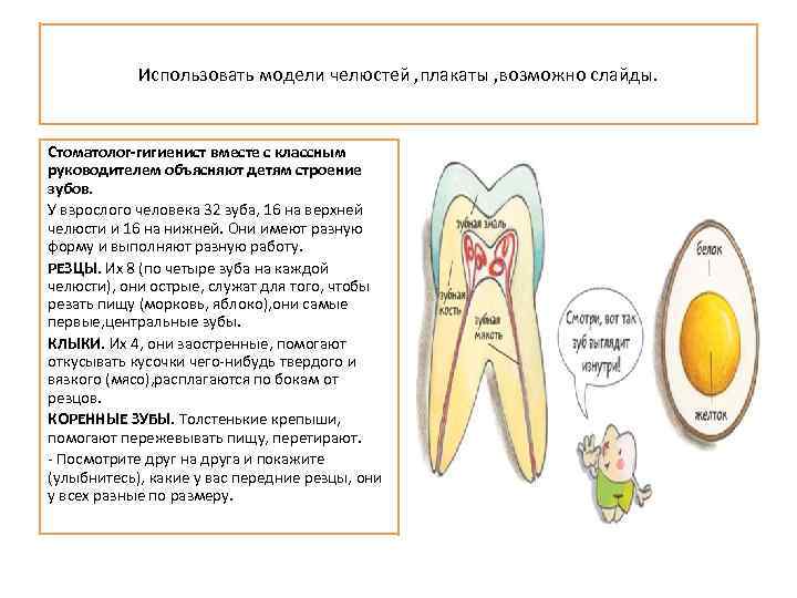 Использовать модели челюстей , плакаты , возможно слайды. Стоматолог-гигиенист вместе с классным руководителем объясняют