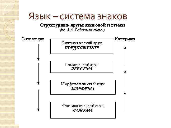 Система языкового образования схема