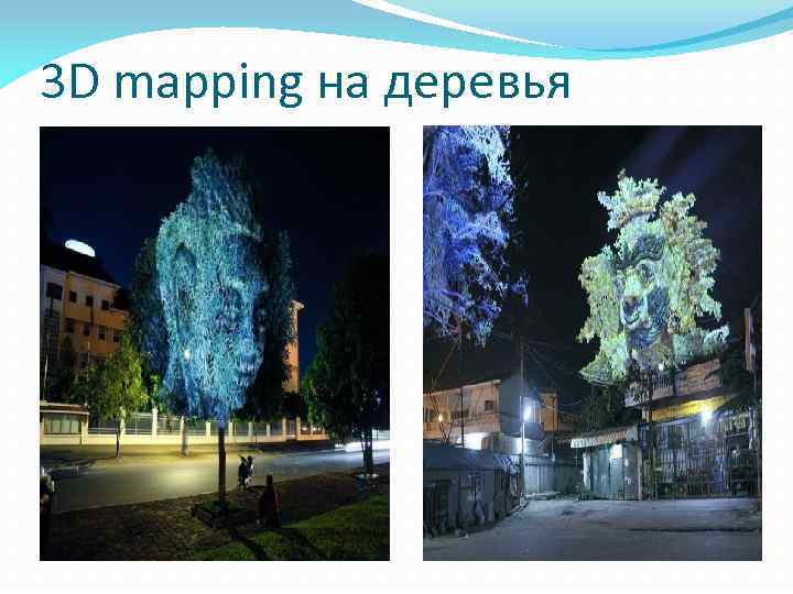 3 D mapping на деревья 
