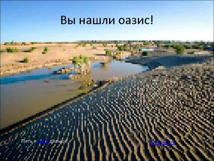 Вы нашли оазис! Пить и идти дальше Заночевать 