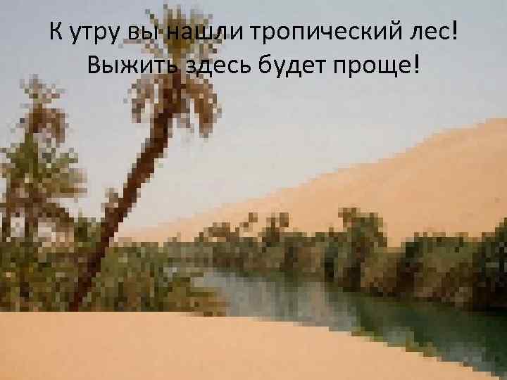 К утру вы нашли тропический лес! Выжить здесь будет проще! 