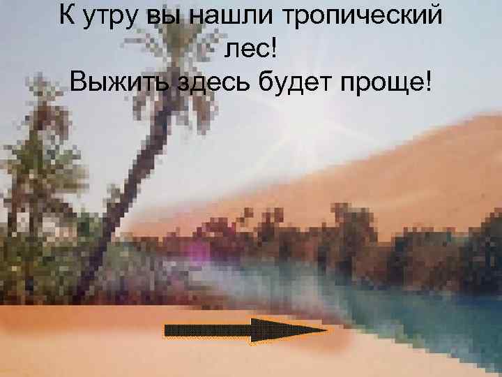 К утру вы нашли тропический лес! Выжить здесь будет проще! 