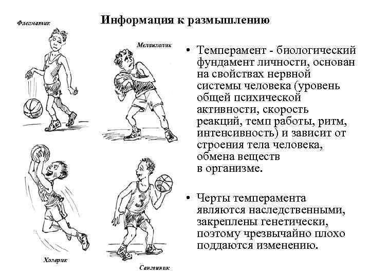 Информация к размышлению • Темперамент - биологический фундамент личности, основан на свойствах нервной системы