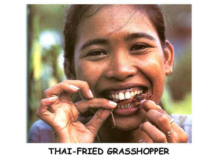 THAI-FRIED GRASSHOPPER 