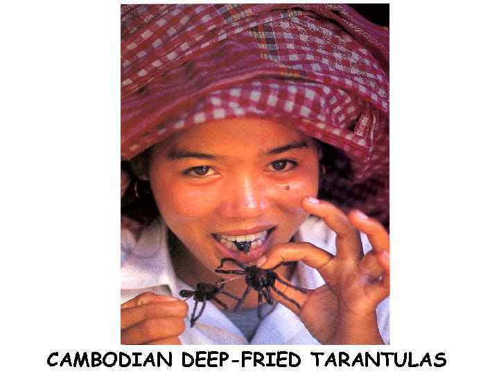 CAMBODIAN DEEP-FRIED TARANTULAS 